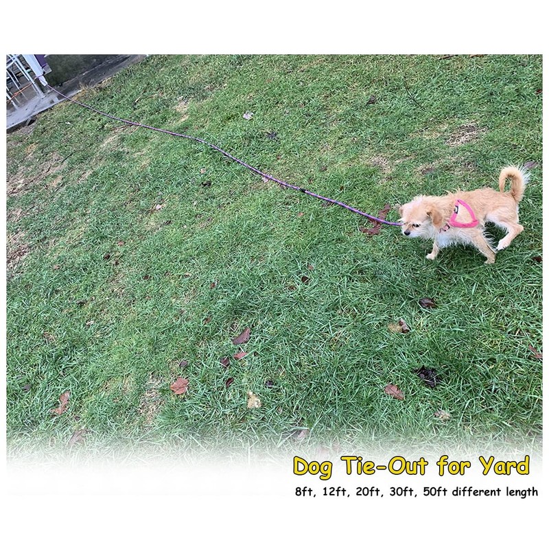 BTINESFUL 8ft 12ft 20ft 30ft 50ft 75ft Dog Tie-Out Long