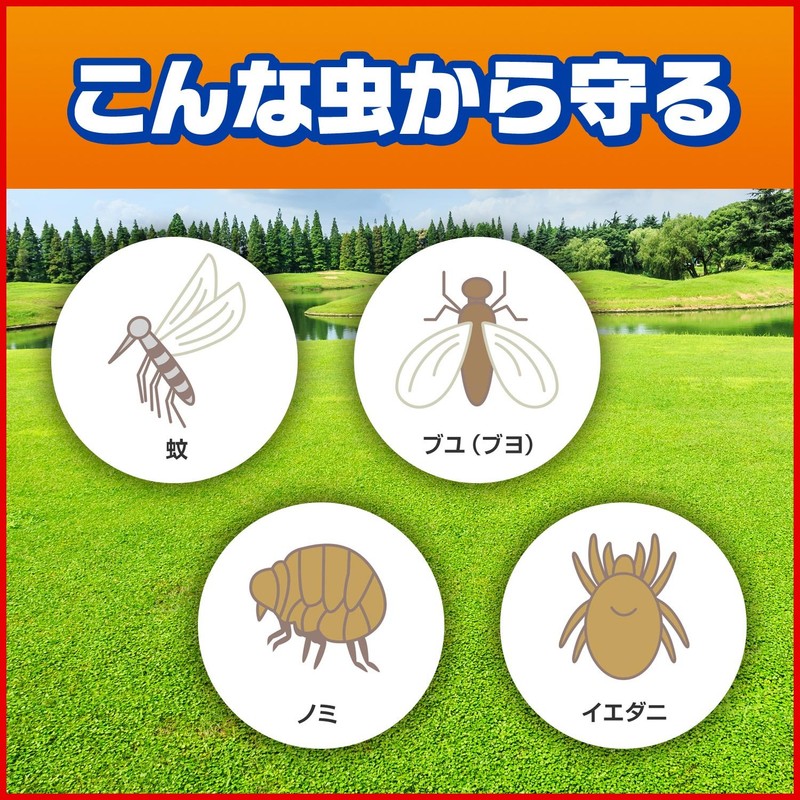 スキンガード 虫よけスプレー 大容量 エアゾールタイプ 250ml アロエエキス配合 虫除け・忌避用品 虫よけ 携帯用 携帯