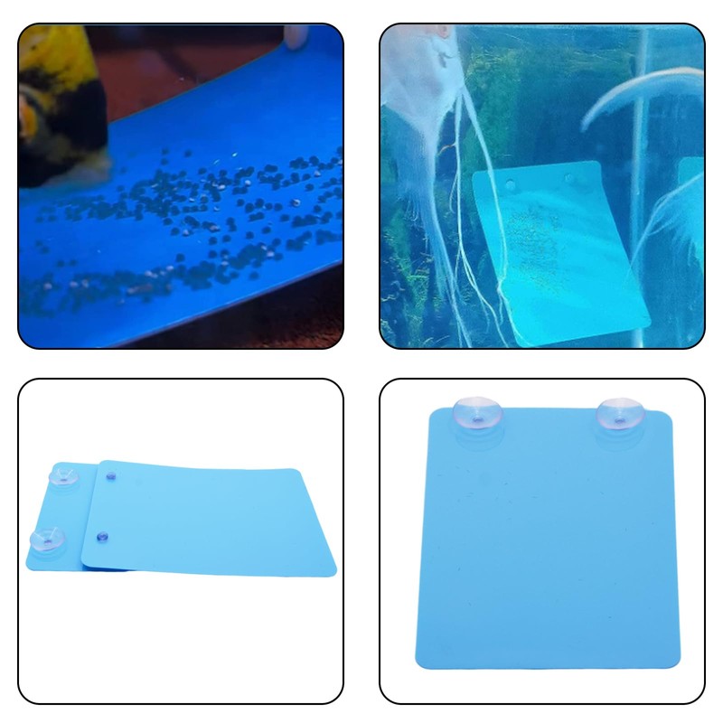 Saim 2 PCS Angelfish Discus Fish Breeding Slate Fish with