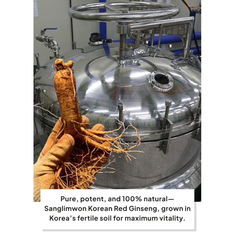 Korean Food Sanglimwon Gold Black Stick, High-Potency Red Ginseng with