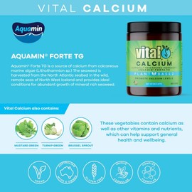 Vital Plant Based Calcium Supplement 60 Vegecaps