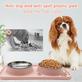 BNOSDM Double Dog Food Bowls - 𝟐 𝐏𝐜𝐬 Stainless Steel Puppy Bowls with Non-Spill Spill-Proof Plastic Mats Pet Cat Feeder Dishes Set for Small Dogs, Cat Kitten