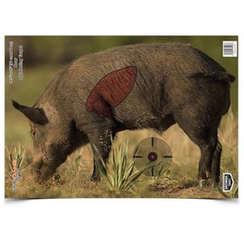 Birchwood Casey Pregame 16.5" x 24" Boar Targets - Realistic Instant Splattering Shooting Targets - for Use with All Guns & Calibers - 3 Targets Pack