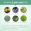 MSM Cream, Unscented, Menthol Free, Massage Cream, Made in Japan,