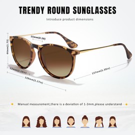 CHBP Polarized Sunglasses for Women Men - Trendy 2025 Vintage Classic Retro Round Mirrored Lens Designer Style