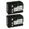 Kastar HHR-V212 / VW-VBS20E Battery 2-Pack Compatible with Panasonic NV-V10