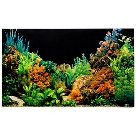 Gex GX-11 Back Screen for 23.6 inches (60 cm) Aquarium (Black with Photo) x 5 Pieces