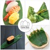 Bamboo Leaves | 28-32 cm | Zongzi | Sasanoha |