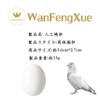 10 Pcs Fake Eggs, Bird Toys, Small Birds, Solid Fake