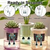 Self Watering Spikes for Indoor Plants - Automatic Plant Watering