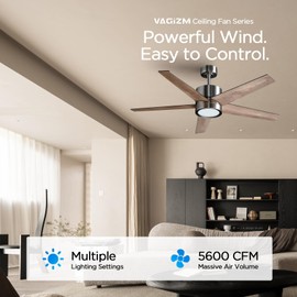 VAGIZM Ceiling Fan 52'' with Light: Modern Remote Control Fans Downrod Mounted - Quiet Reversible DC Motor - Light Memory Function for Patio Dining Room Outdoor Indoor