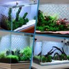 Hygger CO2 Aquarium Background Paper Decor Fish Tank Backdrop Wallpaper