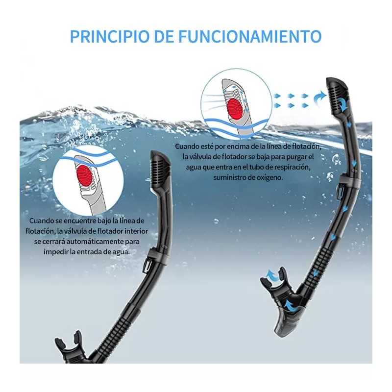 Generic Conjunto Profesional De Equipos De Natación De Snorkel L/xl