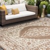 Water & Fade Resistant 4x6 Indoor Outdoor Rug for Patio,