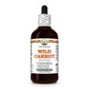 Hawaii Pharm Wild Carrot Alcohol-Free Extract, Glycerite for Skin Radiance,