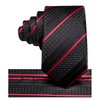 Hi-Tie Boys Ties Self Tie Silk Black and Red Striped