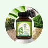 두리농산 Refreshing Variable Aloe Tablets 360 tablets / 상쾌한변수 알로에정