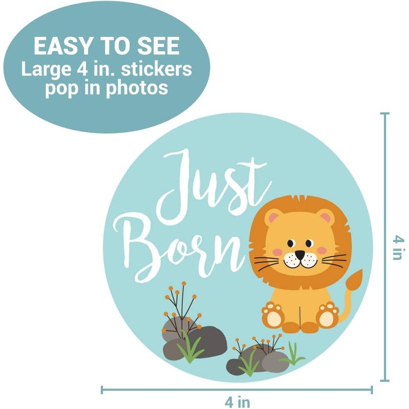 Baby Monthly Milestone Stickers – Set of 24 Zoo Animals