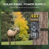 Campark Solar 30MP Game Trail Deer Camera 4K WiFi Bluetooth