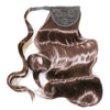 LeeWin Single Color Ponytail Extension Long Wavy Curly Wrap Around