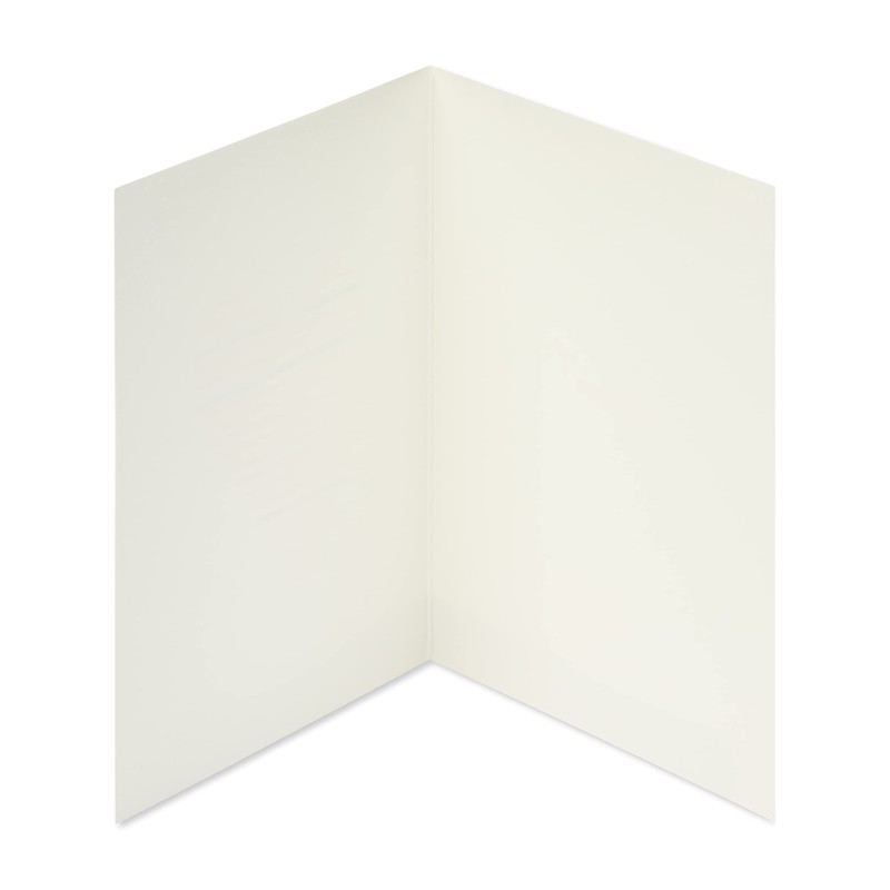 Papyrus Blank Heart Card for Valentines Day, Anniversary, Birthdays, Wedding