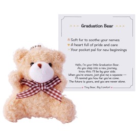 Kvekstio Graduation Bear, Pocket-Sized Plush Bear Gifts for Daughter Son Graduation, New Beginning, Stuffed Plush Bears Support Gifts for New Journey, Middle College School Graduate Bears Gift