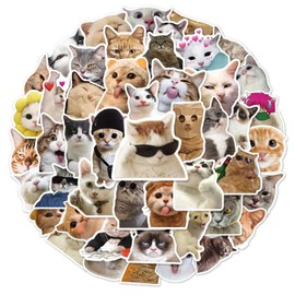 POPOYU 100pcs Cute Funny Cat Stickers for Kids,Cartoon Theme Water Bottle Stickers for Teens Boys Girls,Aesthetic Cat Anime Vinyl Stickers Party Favors for Kids Party Bags Filler,Laptop,Skateboard