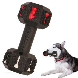 dumbbell dog chew for aggressive chewers.