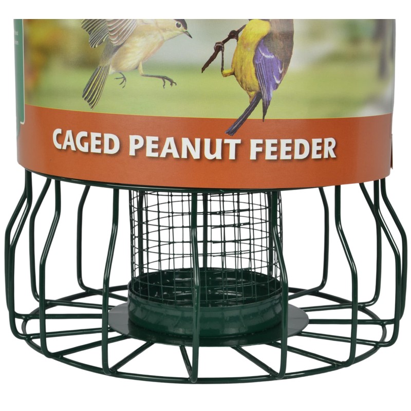 Supa Wild Bird Caged Peanut Feeder, Deters Squirrels And Larger