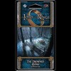 Fantasy Flight Games FFGMEC51 The Drowned Ruins Adventure Pack: LOTR