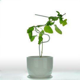 Indoor Plant Stakes Set of 3 - Mini Trellis for Potted House Garden Plant Support for Hoya, Flower, Pothos, Ivy, Vines, Monstera (Geometrical Design, Black)