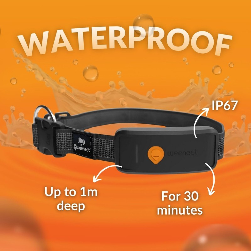 Weenect Dog XT - NEW GPS Collar for Dogs |