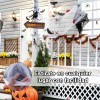 Telaraña Y Plástico Araña Halloween Decoración Dia De Muerto