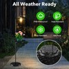XPSCOCO 60" Solar Lantern Lights Outdoor Floor Lamp with Adjustable