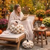 Leinuosen 2 Pcs Fall Pumpkin Pillows Brown 3D Pumpkin Shaped