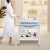 MhdunueSK Rolling Utility Cart, Medical Utility Cart with Drawers, 2-Tier