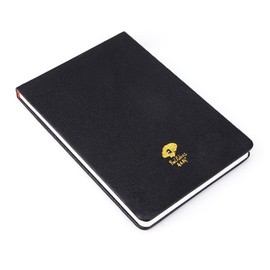 Paul Rubens Watercolour Paper 32K & 64K