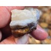 1/4 lb Deer Creek Fire Agate Choice To Mid Grade