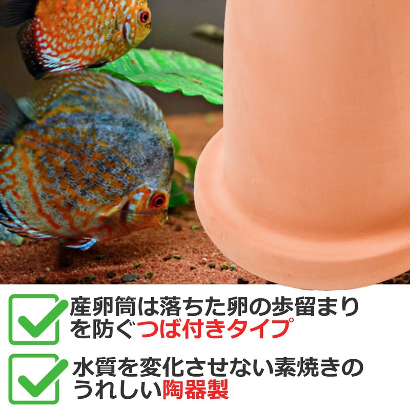 Startside Tropical Fish with Protective Net Cover for Frying/Spawning/Breeding/Discus/Aquarium/Bleeding/Egg-Prevention/Earthenware (Brown