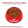 ROYAL CANIN, Puppy - Pug, Croquetas para Perro, 1.1kg