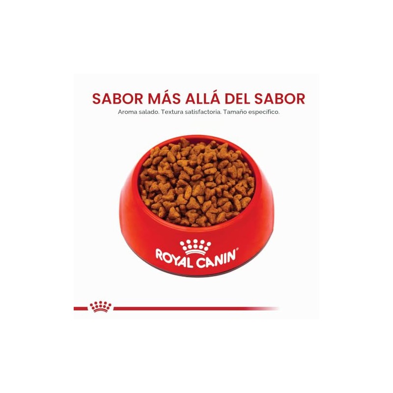 ROYAL CANIN, Puppy - Pug, Croquetas para Perro, 1.1kg