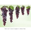 Bairdish 2bunches Purple Large Bunch Artificial Grape Lifelike Artificial Grapes