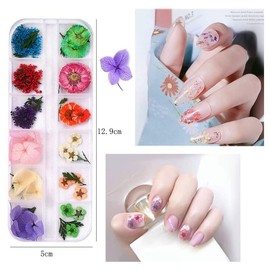 Kalolary Butterfly Nail Sequins,Nail Dried Flowers, Shiny Foil Nail Shavings, Nail Art Rhinestone with Tweezers Nail Art Rhinestone Picker Pencil,For Female DIY nail decoration