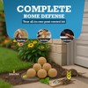 Mouse Scent Balls – 24-Pack + 1 Mouse Trap –
