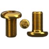 M4 (4mm x 10mm) Brass Phillips Pan Head Machine Screws