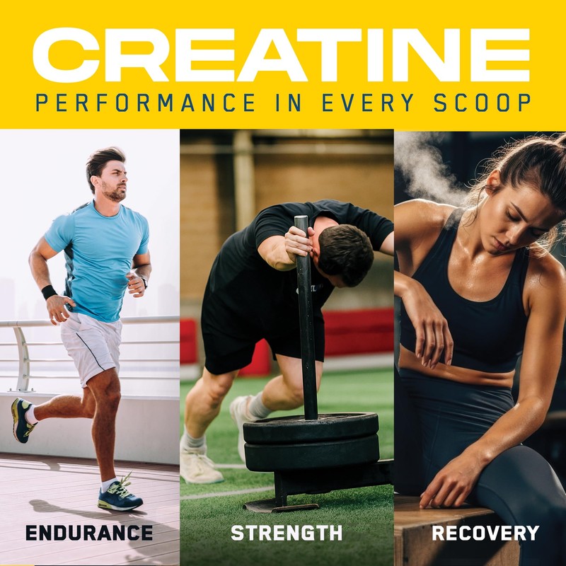 Applied Nutrition - Creatine + HMB - 5g Creatine Monohydrate