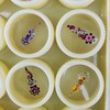 20 Bindi Box Long Multicolored Crystal Bindis Bridal face Jewels