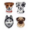 MP Studia Who Said Woof Magnets SR-409 Plastic Canvas MP