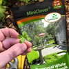 Outsidepride Outsidepride Perennial White MiniClover Seed - 5 lb. Dwarf,