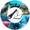 SecurityIng Diving Light, 800 Lumens, IPX-8 Waterproof, Diver Light, Underwater